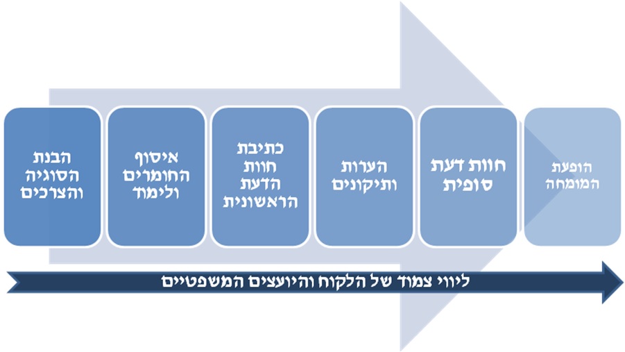 חוות דעת מומחה כלכלית - תהליך העבודה של חברת מינוף1